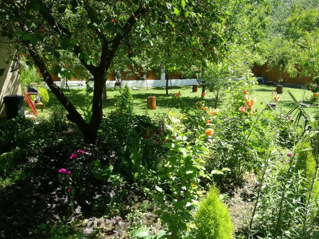Riverside Guesthouse Pocitelj Buitenkant foto